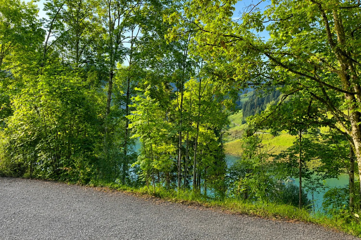 Seeblick vom Caravan-Stellplatz