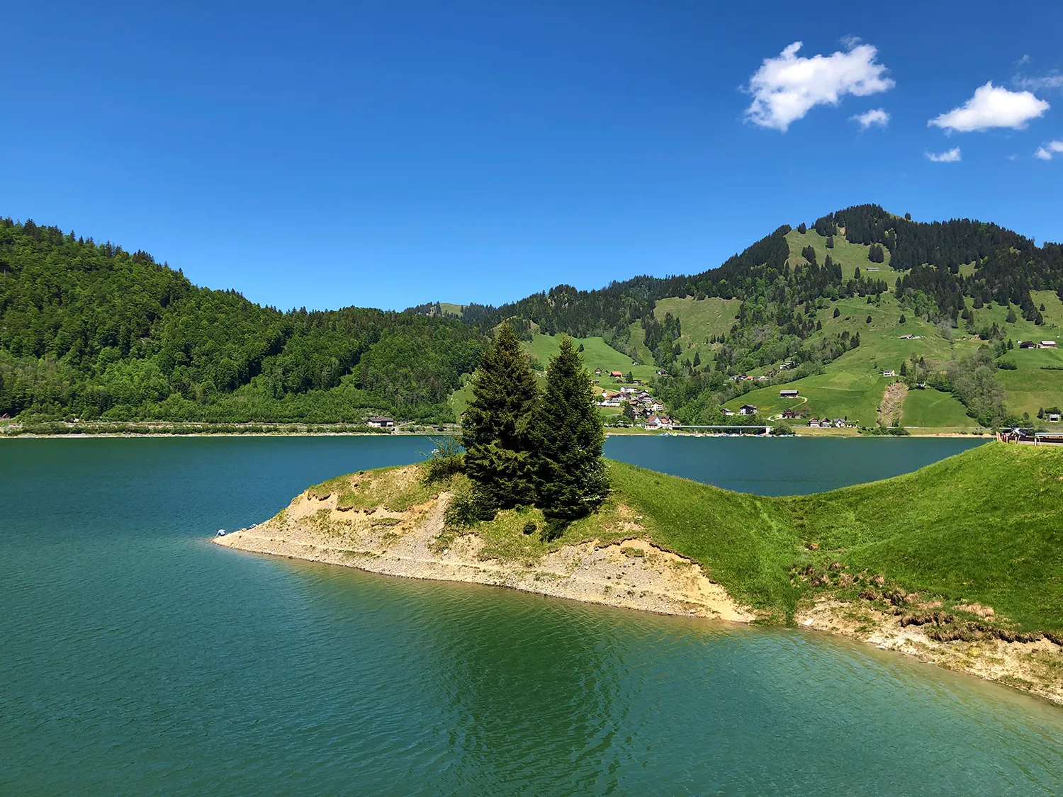 Halbinsel mit Tannen im klaren Wasser des Wägitalersees